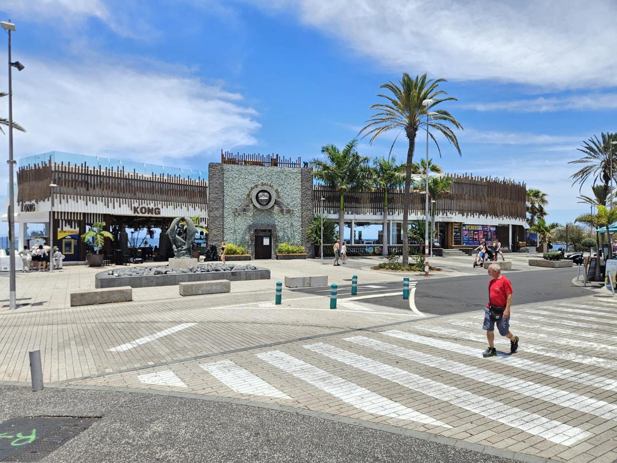 Apto Vera Cruz Playa Las Americas Плая-де-лас-Америкас Экстерьер фото